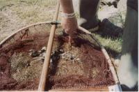 thm_Sommer2003 051.jpg